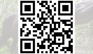 QR-Code zum Spenden für amaZOOnico